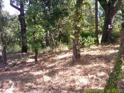 Vente Terrain MAYONS 83340