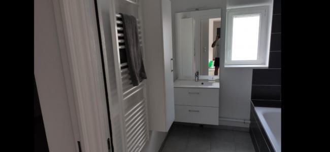Location Appartement 3 pices MAXEVILLE 54320