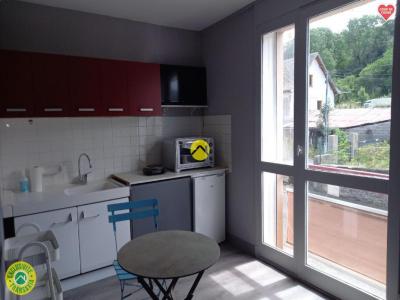 Vente Appartement 2 pices RIOM-ES-MONTAGNES 15400