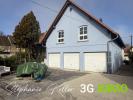 Annonce Vente 3 pices Maison Hilsenheim