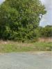 Vente Terrain Vouhe 17