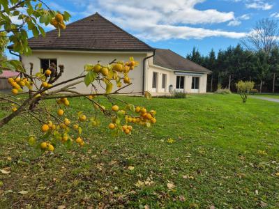 Vente Maison 5 pices VESOUL 70000