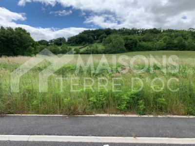 Vente Terrain SEQUESTRE 81990