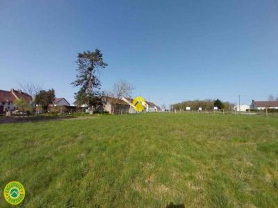 Vente Maison SANCOINS 