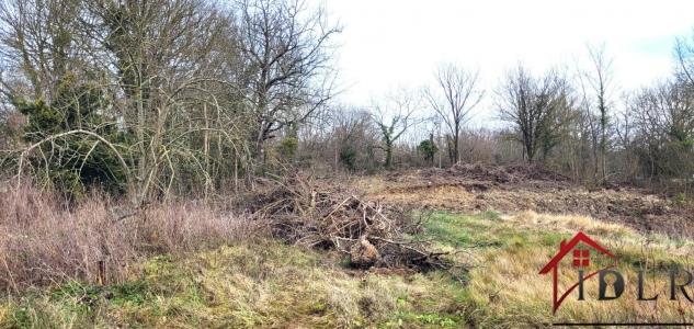 Vente Terrain SOIGNOLLES-EN-BRIE 77111