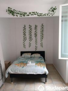 Location Appartement TOULON 83000