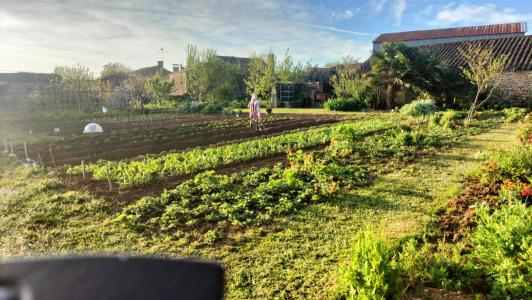 Vente Terrain SAINT-POMPAIN 79160