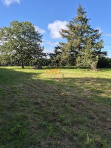 Vente Terrain CARBONNE 31390