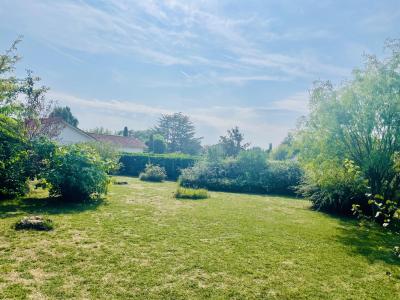 Vente Terrain SAINT-ROMAIN-DE-JALIONAS 38460