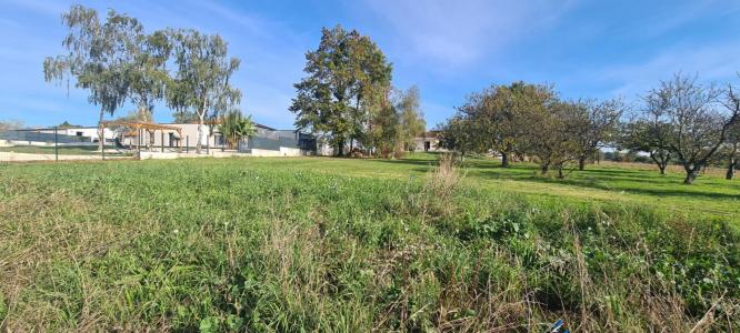 Vente Terrain SAINT-CRESPIN-SUR-MOINE 49230
