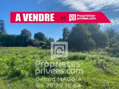 Vente Terrain SAINT-GUYOMARD 56460