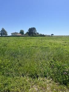 Vente Terrain SAINT-QUENTIN-DE-BARON 33750