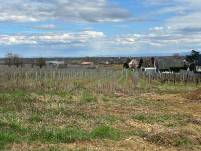 Vente Maison BEBLENHEIM 68980