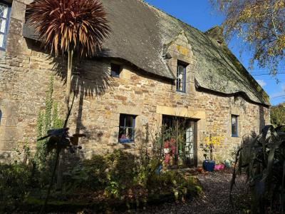 Vente Maison 3 pices LANGUIDIC 56440