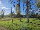 Vente Terrain Landiras 33