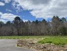 Annonce Vente Terrain Salles