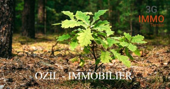 photo For sale Land EUZET 30