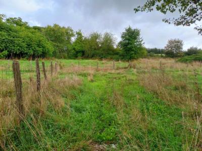 photo For sale Land BELIGNEUX 01