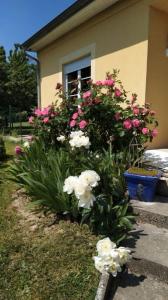 photo For sale House HOMBOURG-HAUT 57