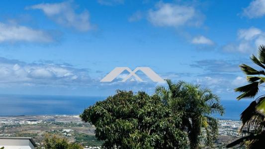 Vente Terrain BOIS-DE-NEFLES-SAINT-PAUL 97411