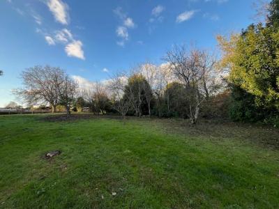 Vente Maison 3 pices TURQUANT 49730