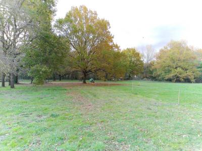 Vente Terrain BRAX 31490