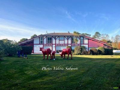 Vente Maison 9 pices SAUBION 40230