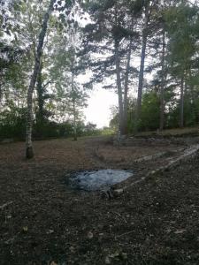 For sale Land COLLONGES-LES-BEVY  21