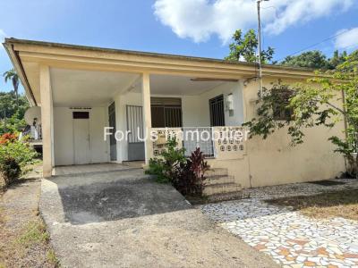 Vente Maison 4 pices ABYMES 97139