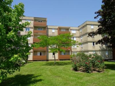 Location Appartement SAINT-FLORENTIN 89600