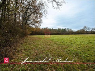 photo For sale Land BILLY 41