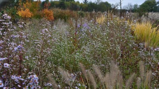 photo For sale Land LONDE 76