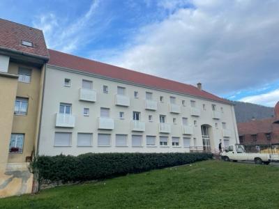 Location Appartement 2 pices THANN 68800