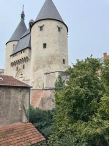 Location Appartement 3 pices NANCY 54000