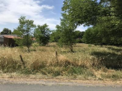 Vente Maison 5 pices TEICH 33470