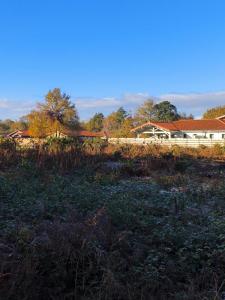 Vente Terrain BISCARROSSE 40600