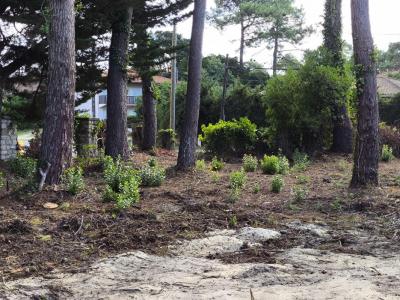 Vente Maison MIMIZAN 40200