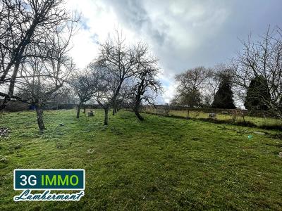 Vente Terrain MEXY 54135