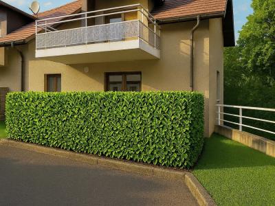 Vente Appartement 4 pices THOIRY 01710