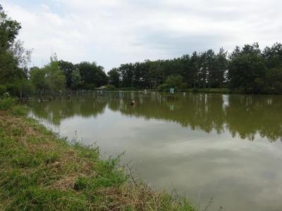 Vente Prestige ROSNAY 36300