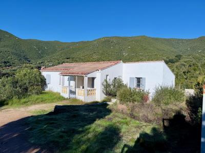 Vente Maison 4 pices COGNOCOLI-MONTICCHI 20123