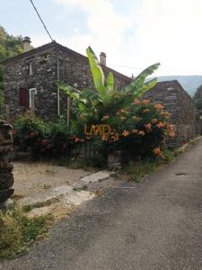 photo For sale House SAINT-ANDRE-DE-VALBORGNE 30
