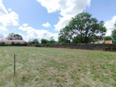 Vente Terrain SAINT-JULIEN-DE-CONCELLES 44450