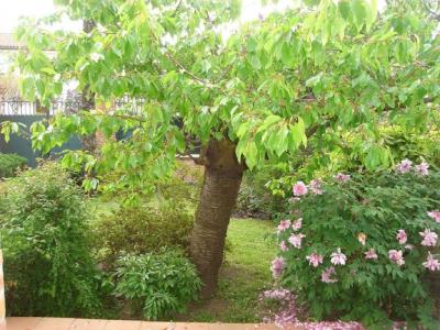 For rent House TOULOUSE 