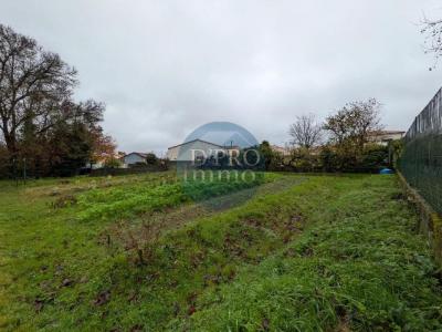 Vente Terrain VERTOU 44120