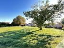 Annonce Vente Terrain Chateauneuf-sur-charente