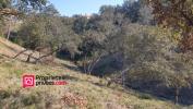 Acheter Terrain Uzes 260000 euros
