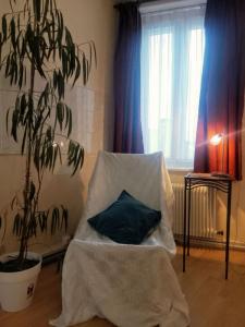 photo For sale House RONCHIN 59