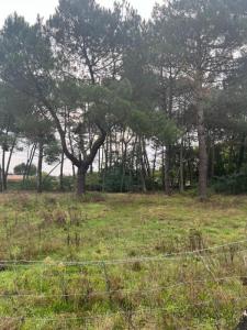 Vente Terrain LEOGNAN 33850