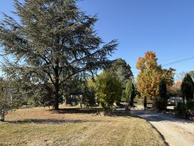 For sale House MONTAUBAN 